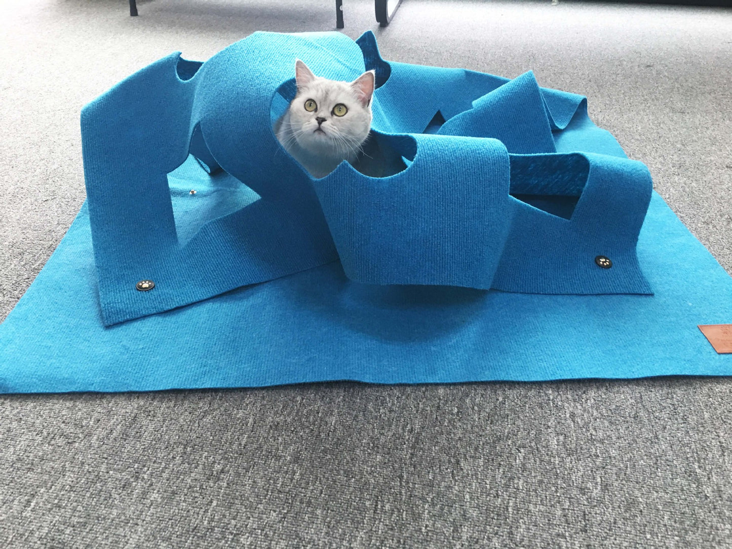 ALFOMBRA INTERACTIVA DU LA - DIVERSIÓN Y ENTRETENIMIENTO PARA TU MASCOTA