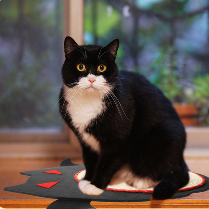 Alfombra olfativa de sisal para gatos, jueguito y diversión 40x30cm